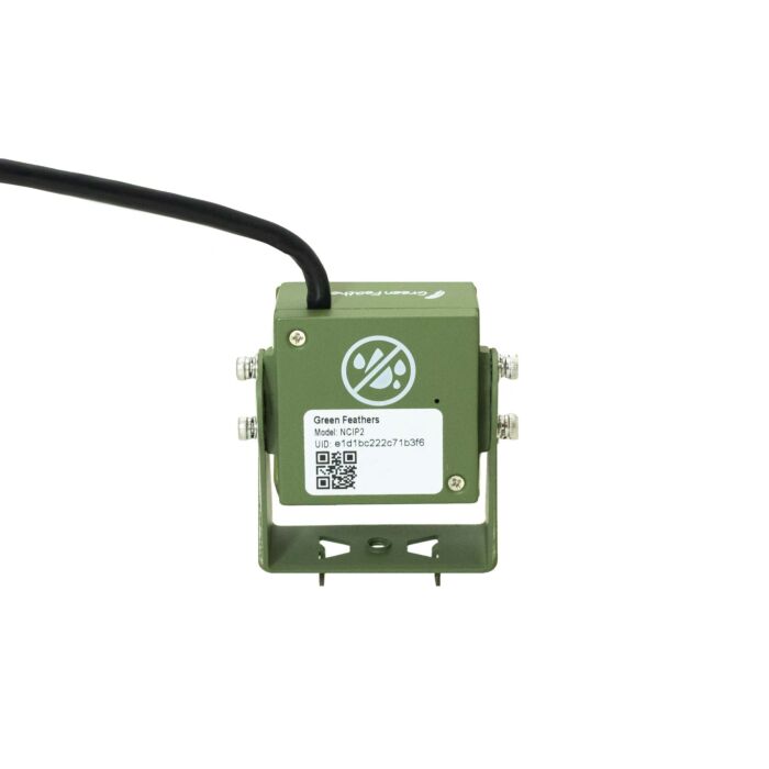 Green Feathers Bird Box Camera Hd Deluxe Bundle Network Cable Connection