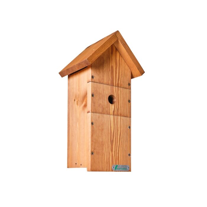 Green Feathers Bird Box Camera Hd Deluxe Bundle Network Cable Connection