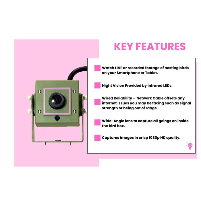 Green Feathers Bird Box Camera Hd Deluxe Bundle Network Cable Connection