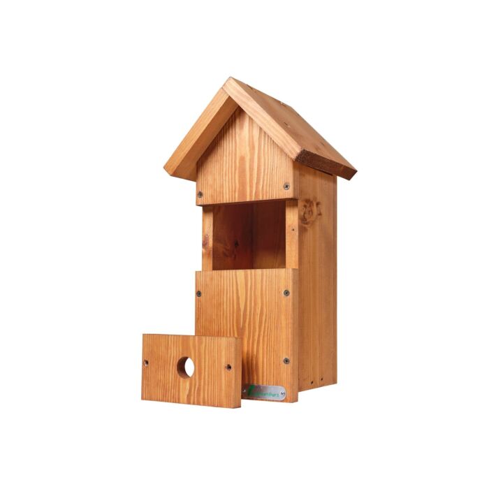 Green Feathers Bird Box Camera Hd Deluxe Bundle Network Cable Connection
