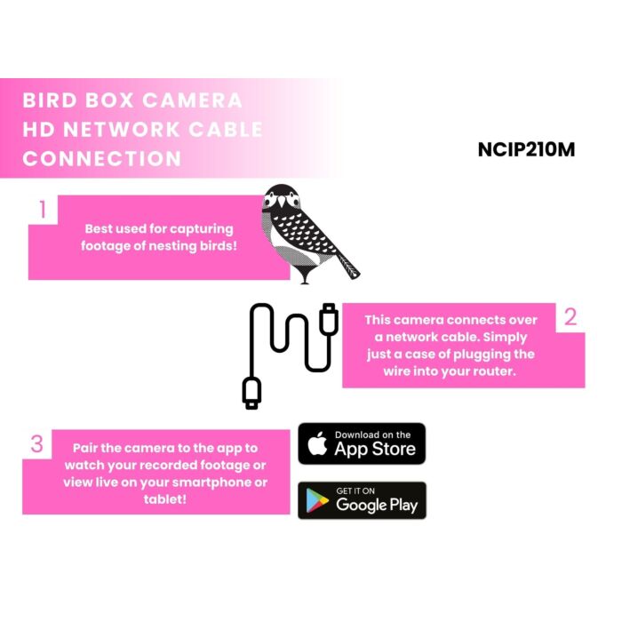 Green Feathers Bird Box Camera Hd Deluxe Bundle Network Cable Connection