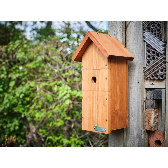 Green Feathers Bird Box Camera Hd Deluxe Bundle Network Cable Connection