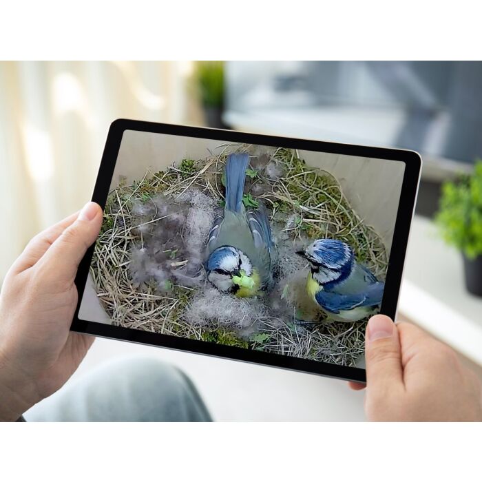 Green Feathers Bird Box Camera Hd Deluxe Bundle Network Cable Connection