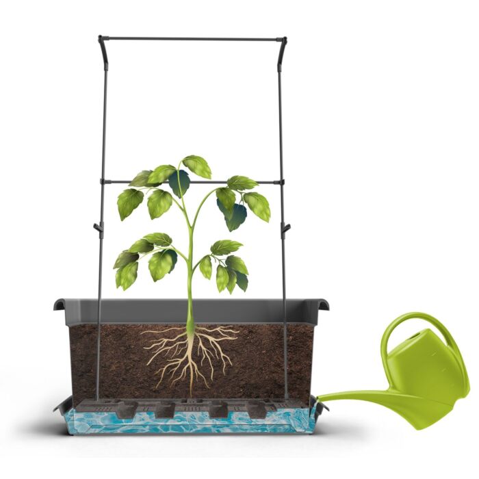 Gardenico Magnus - Self-irrigating Mobile Living Wall Kit - 1000mm - Anthracite