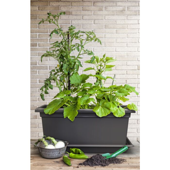 Gardenico Magnus - Self-irrigating Mobile Living Wall Kit - 1000mm - Anthracite