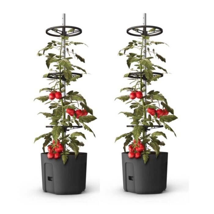 Self-watering Tomato Pot With Extendable Trellis - 29cm - Twin Pack