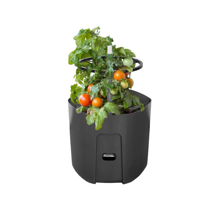 Self-watering Tomato Pot With Extendable Trellis - 29cm - Twin Pack