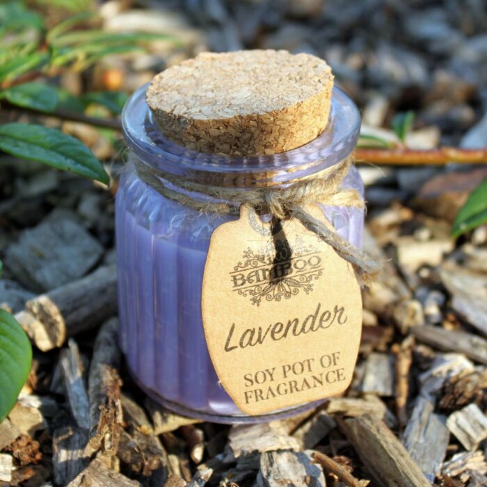 Lavender Soy Pot Of Fragrance Candles (pack Of 2)