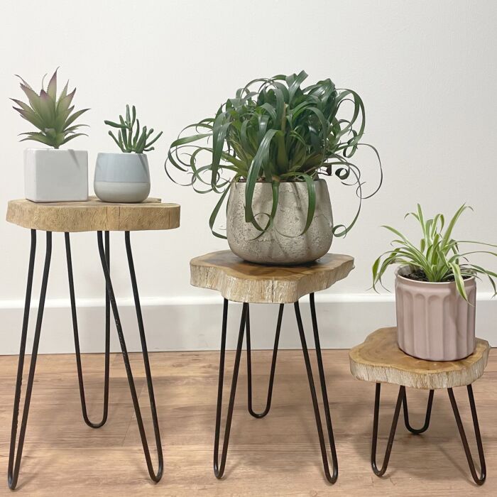 Set Of 3 Gamal Wood Plant Stands - Whitewash