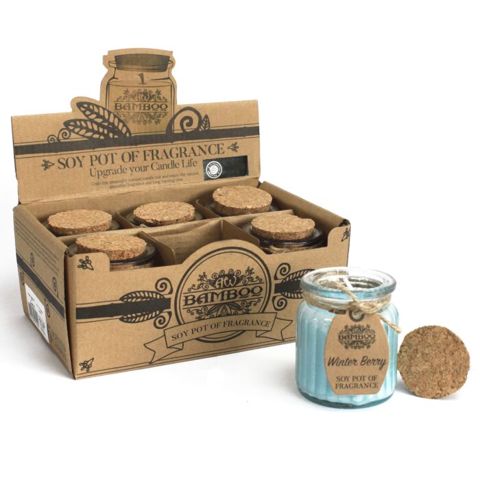 Winter Berry Soy Pot Of Fragrance Candles (pack Of 2)