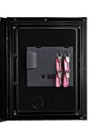 Phoenix Spectrum Plus Ls6011fs Size 1 Luxury Fire Safe With Silver Door Panel And Fingerprint Lock