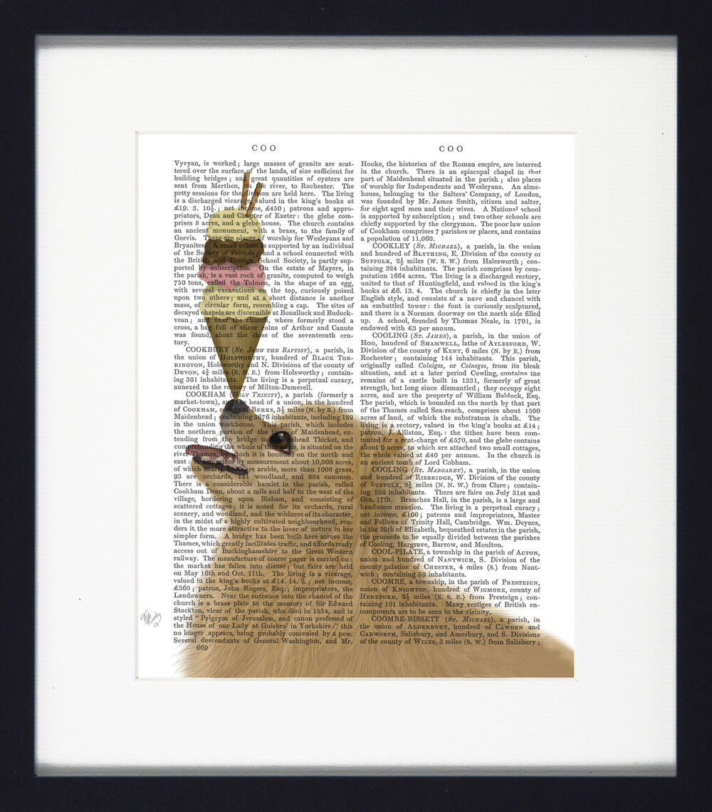 Ice Cream Dogs Xiii