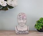 Large Ceramic Crackle Phrenology Head