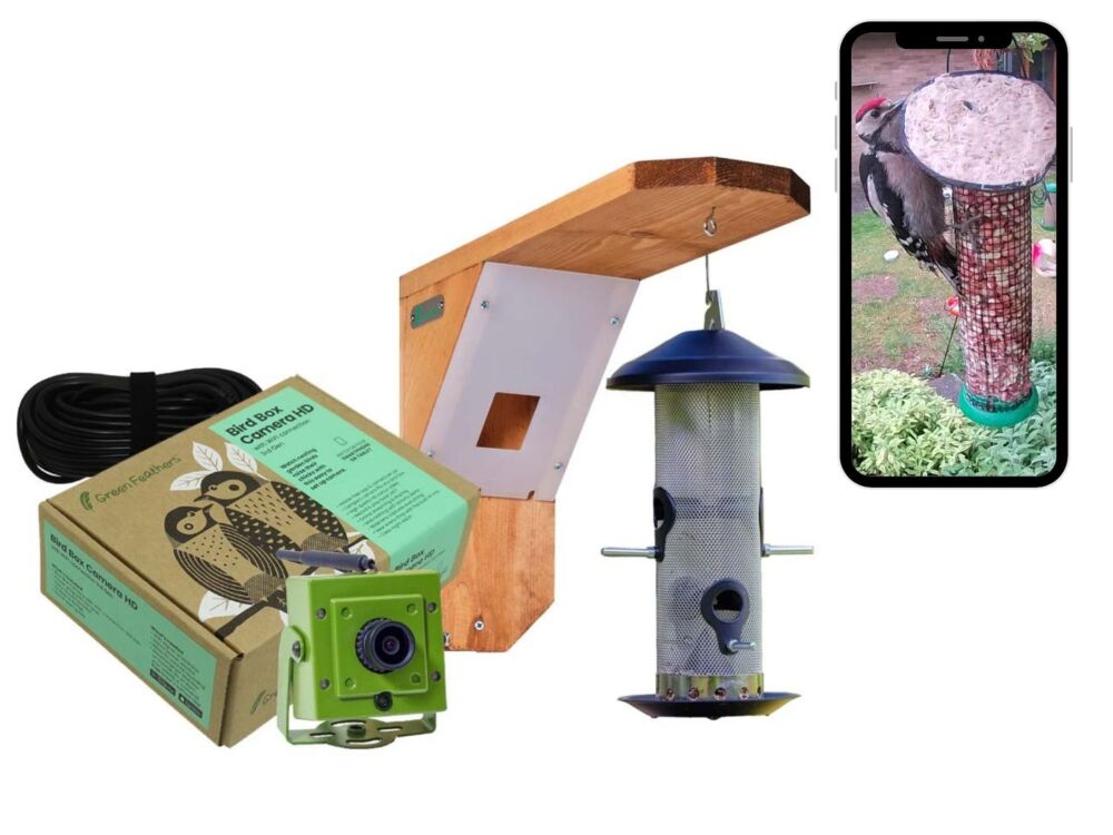 Green Feathers Bird Feeder Camera Bundle With Wifi Connection