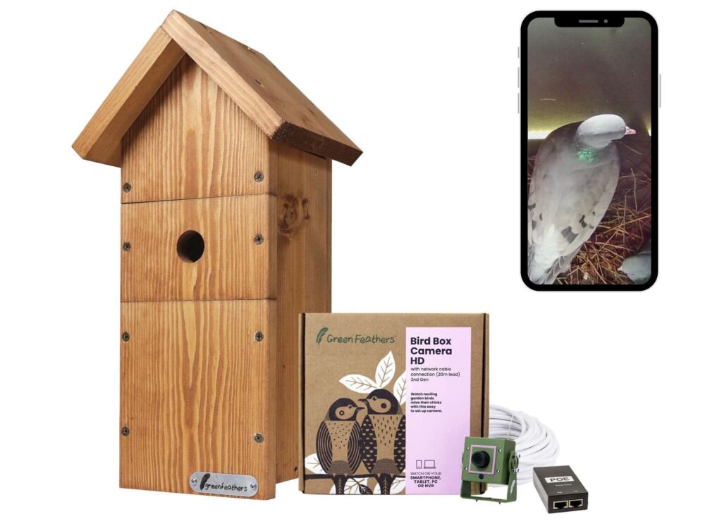 Green Feathers Bird Box Camera Hd Deluxe Bundle Network Cable Connection