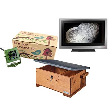 Hedgehog Box Camera Hd Deluxe Bundle Tv Connection