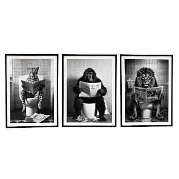 Set Of 3 Animal's On The Toilet Framed Canvas 45x60cm