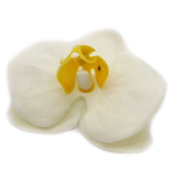 Craft Soap Flowers - Paeonia - Cream - Pack Of 10