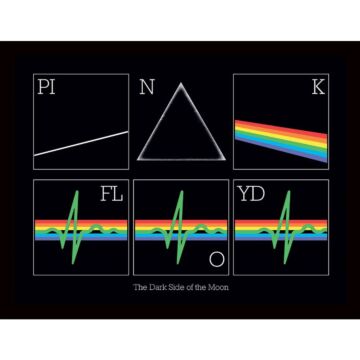 Pink Floyd Picture Heartbeat 16 X 12