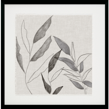 Botanical Sketch I By Susan Jill - Framed Art