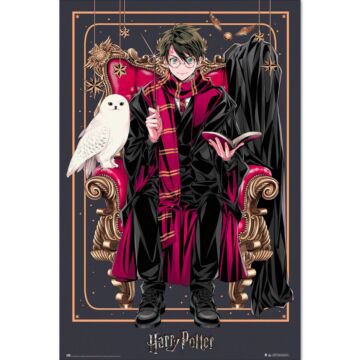 Harry Potter Poster Dynasty Harry 29