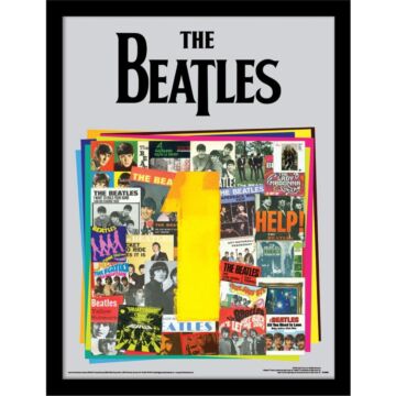 The Beatles Picture Albums 16 X 12