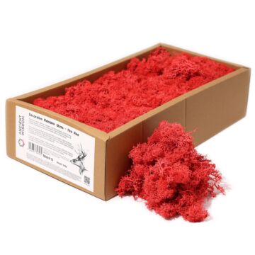 Decoration Reindeer Moss - Fire Red - (approx 500gm)