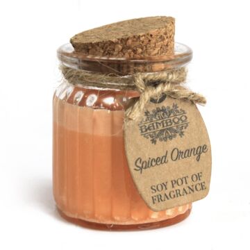 Spiced Orange Soy Pot Of Fragrance Candles (pack Of 2)