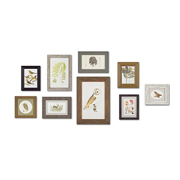 The Woodland Collection - Framed Art