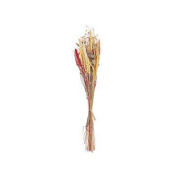 Dried Flower Bouquet Red And Yellow Natural Dried Flowers 65 Cm Wrapped In Brown Paper Natural Table Decoration Beliani