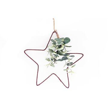 Hanging Wire Star With Eucalyptus Detail