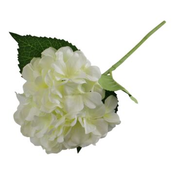 Single Hydrangea Spray, Cream Flower, 49cm