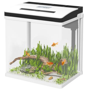 Pawhut 13l Glass Aquarium Fish Tank With Filter, Led Lighting, For Betta, Guppy, Mini Parrot Fish, Shrimp, 29 X 20 X 30.5cm