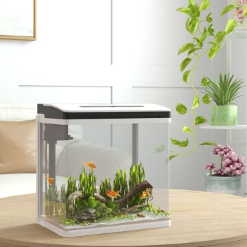 Pawhut 13l Glass Aquarium Fish Tank With Filter, Led Lighting, For Betta, Guppy, Mini Parrot Fish, Shrimp, 29 X 20 X 30.5cm