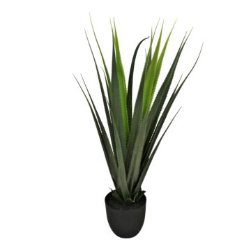 Artificial Aloe Vera Plant, 80cm