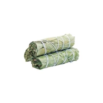 Smudge Stick - Eucalyptus Sage 10cm