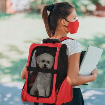Pawhut Dog Carrier Bag Travel Backpack Bag Cat Carrier Dog Bag W/ Trolley And Telescopic Handle, 42 X 25 X 55 Cm, Red