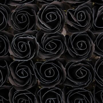 Craft Soap Flowers - Med Rose - Black With White Rim - Pack Of 10