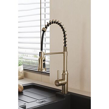 Single Handle Pull Down Kitchen Faucet With Spring Spout