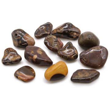 Medium African Tumble Stones - Picture Nguni