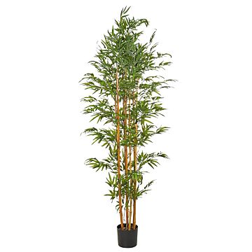 Artificial Potted Bamboo Tree Green And Black Plastic 220 Cm Decorative Indoor Accessory Beliani