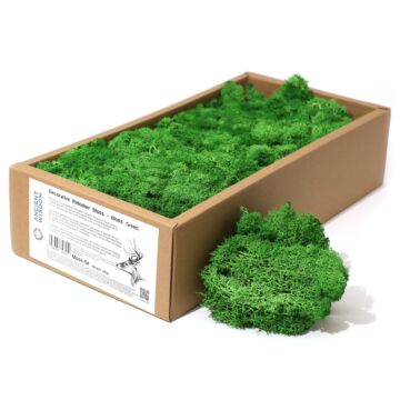 Decoration Reindeer Moss - Moss Green - (approx 500gm)