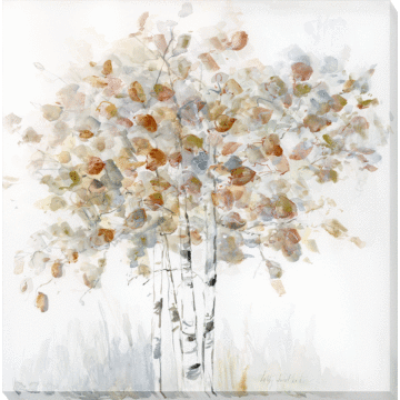 Birch Grove I By Sally Swatland - Canvas Print