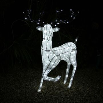Large Light Up Stag Reindeer