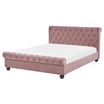 Waterbed Pink Velvet Upholstery Black Wooden Legs Eu Double Size 4ft6 Buttoned Glam Beliani