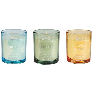 Set Of 3 Scented Candles Multicolour 100% Soy Wax Cotton Wick Glass Fresh Fragrance Ocean/white Tea/summer Meadow Beliani