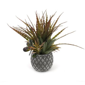 Succulents In Small Lattice Design Grey Pot