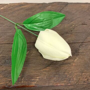 Craft Soap Flower - Med Tulip - Ivory - Pack Of 10