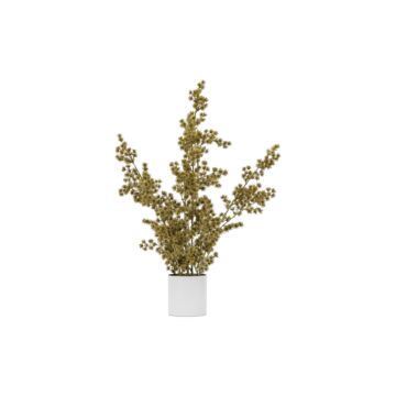 Potted Cedar Pine Gold H770mm