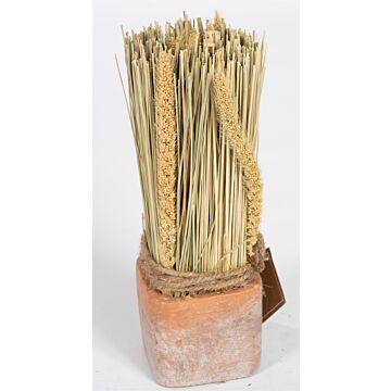 Corn Dried Grass Bouquet In Terracotta Pot